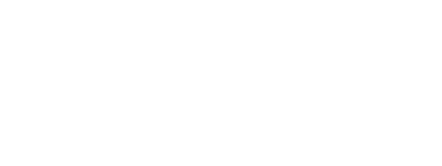 LEGACY SPORTS ACADEMY logo