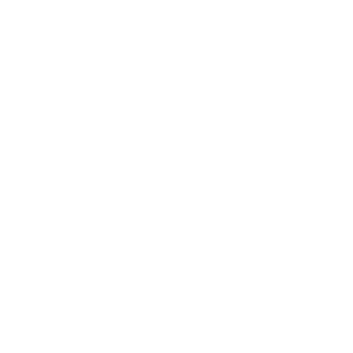 Network Icon