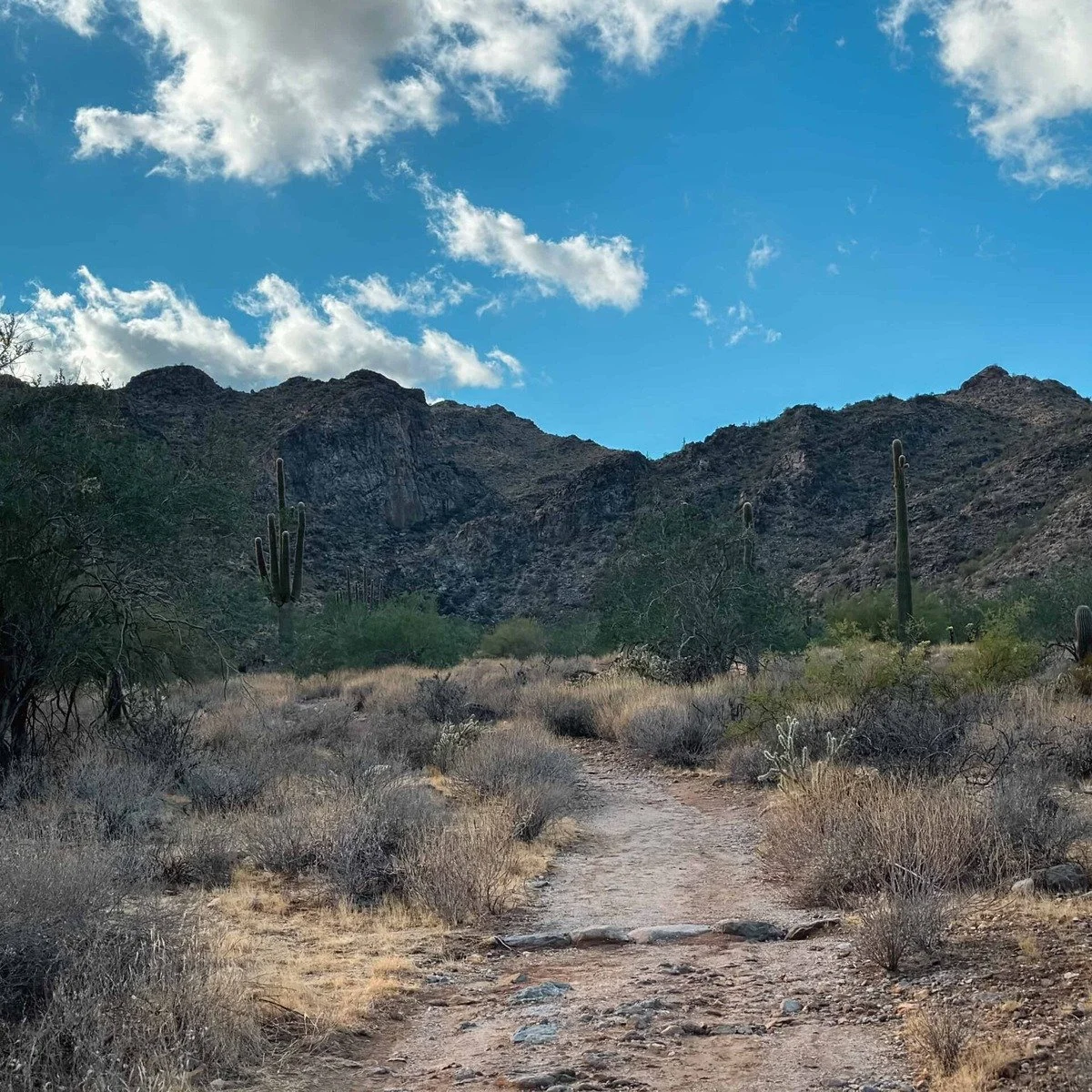 Dog Hiking near me