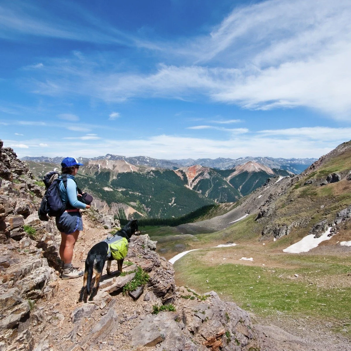 Dog Hiking near me