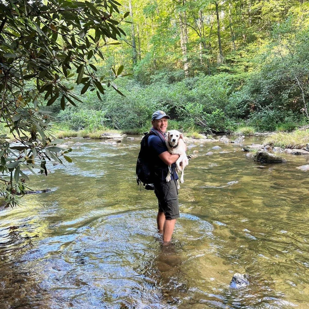 Dog Hiking in Jamaica Plain, MA provides guided outdoor exercise with natural variety and enrichment