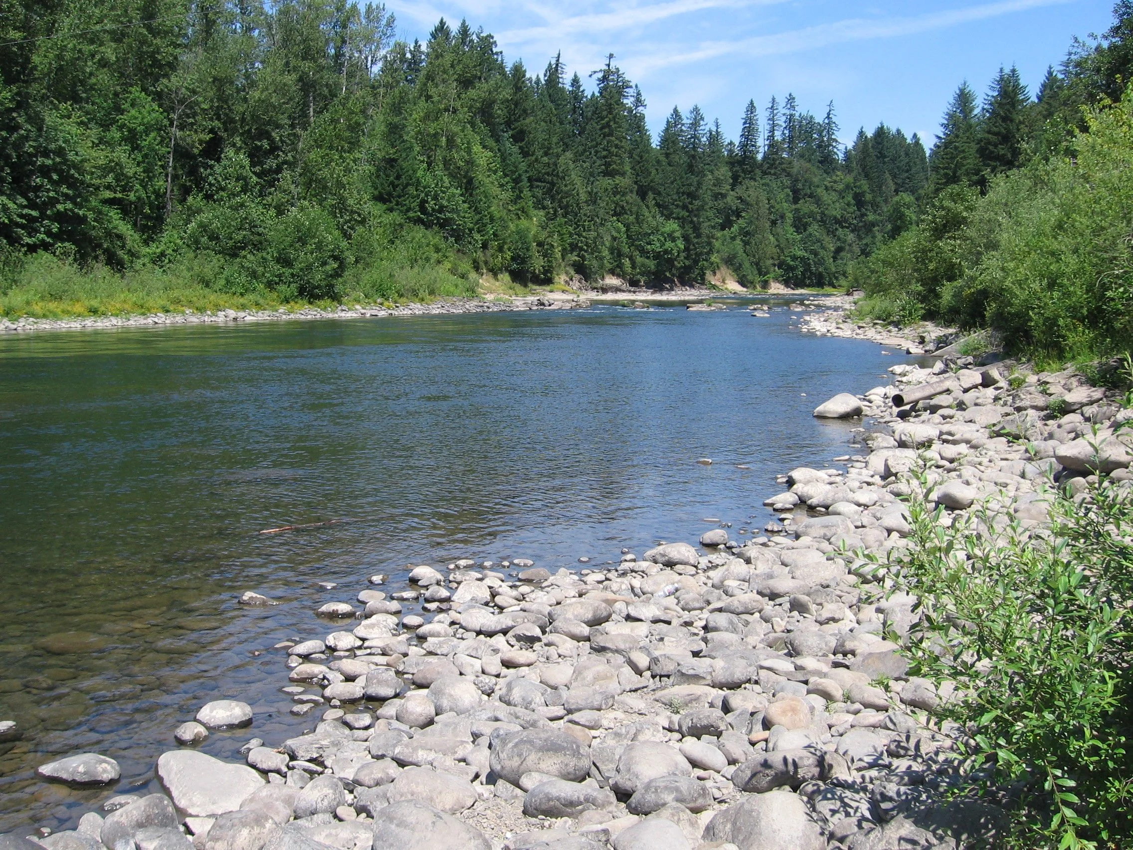 Milo McIver State Park along the Clackamas River
