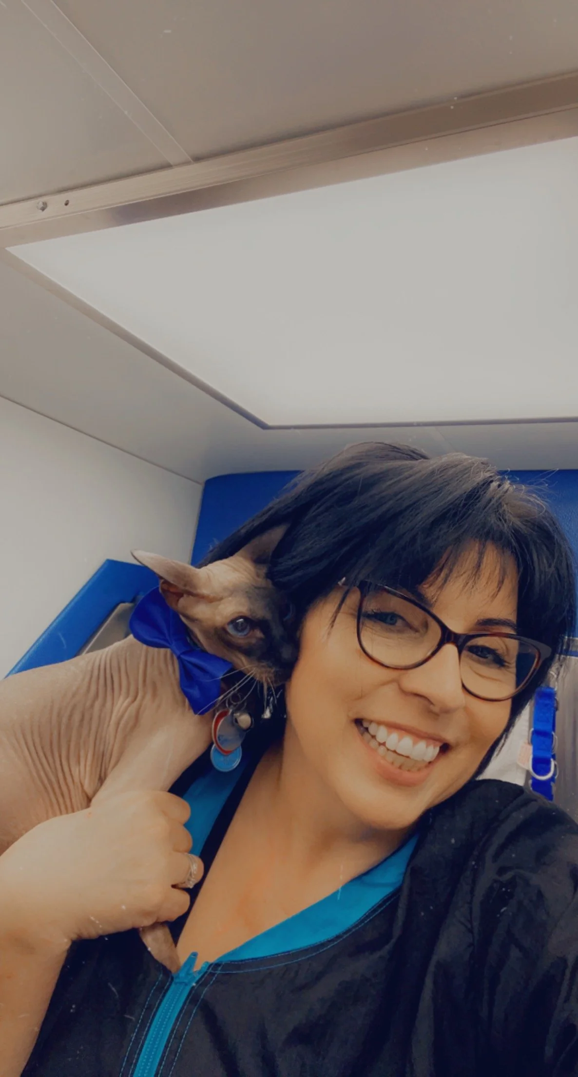 Kim Hickman, founder of Ready Set Groom and a Certified Feline Master Groomer.