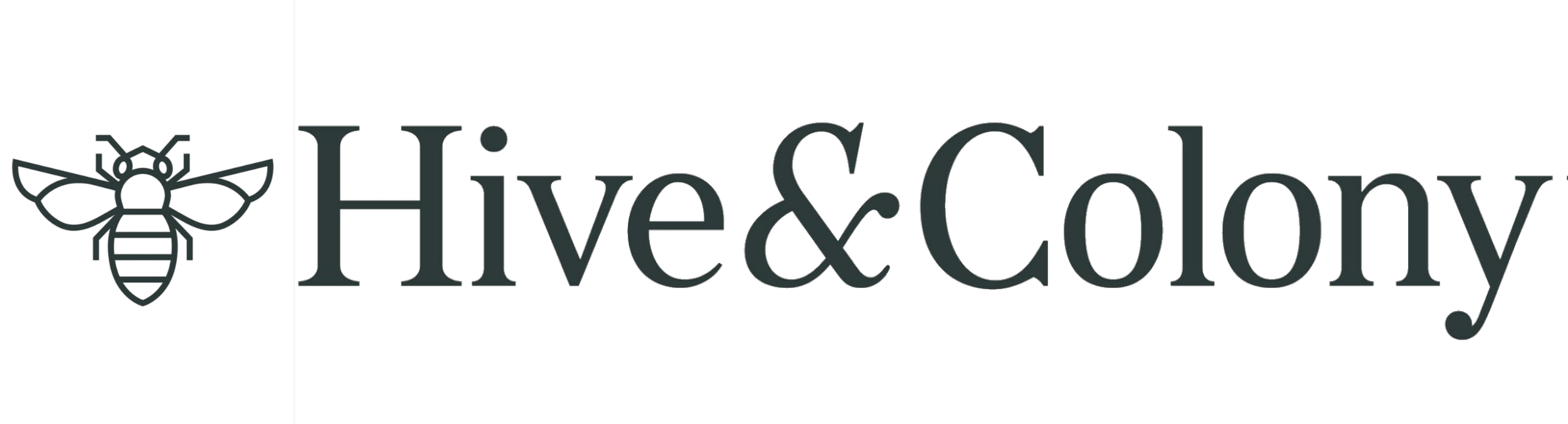 Logo 5