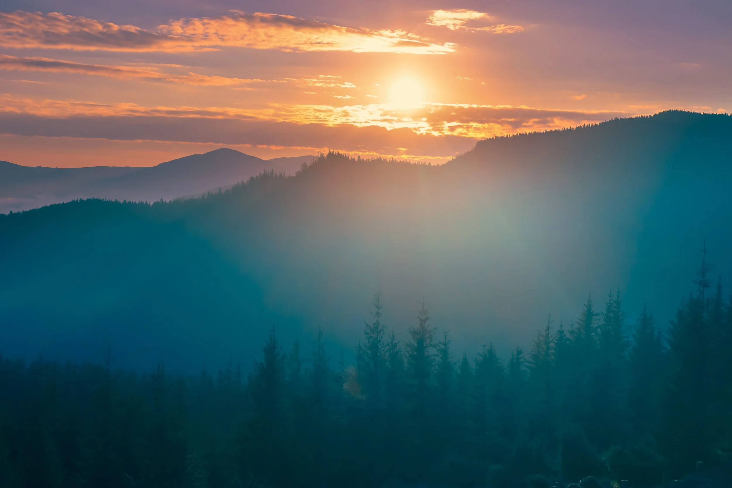 Warm sunrise over layered blue mountains and evergreen forest
