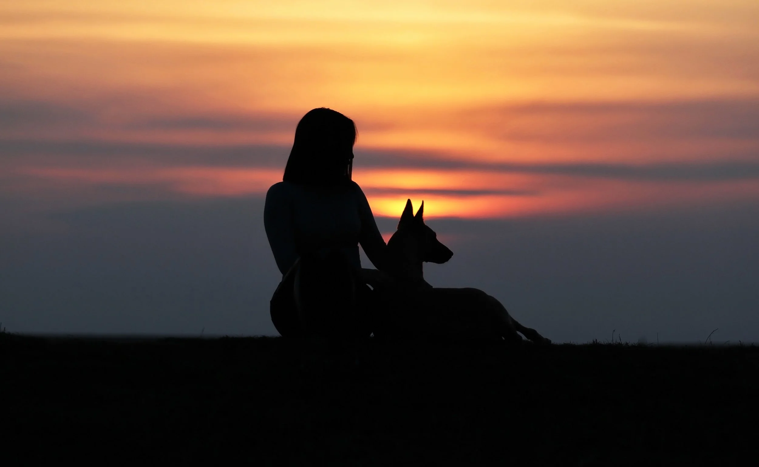 Silhouette of Maris and a dog against a gold and orange sunset over water