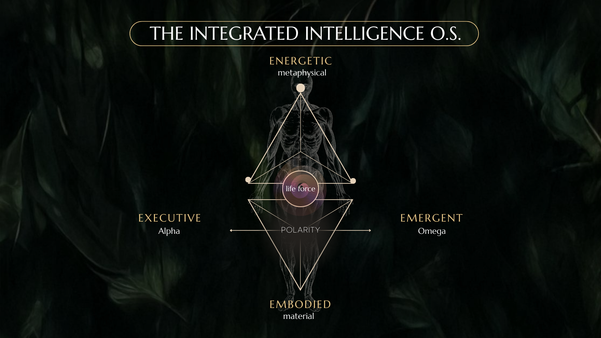 The Integrated Intelligence OS