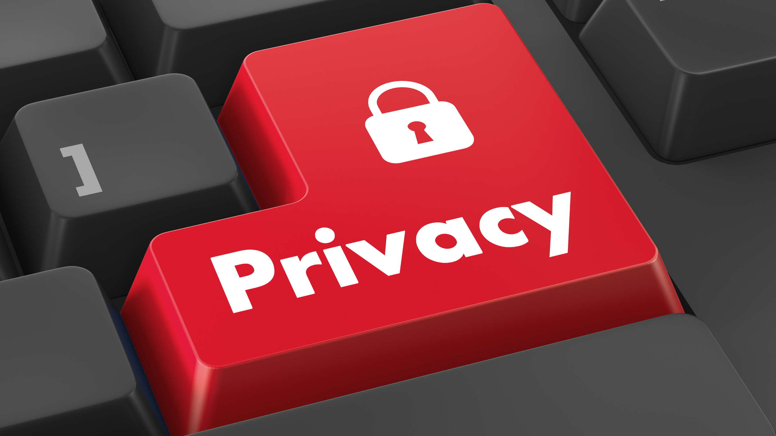 Privacy Policy