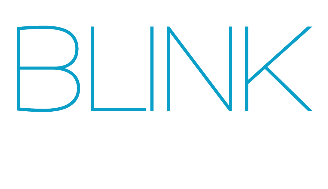 Blink Model Management