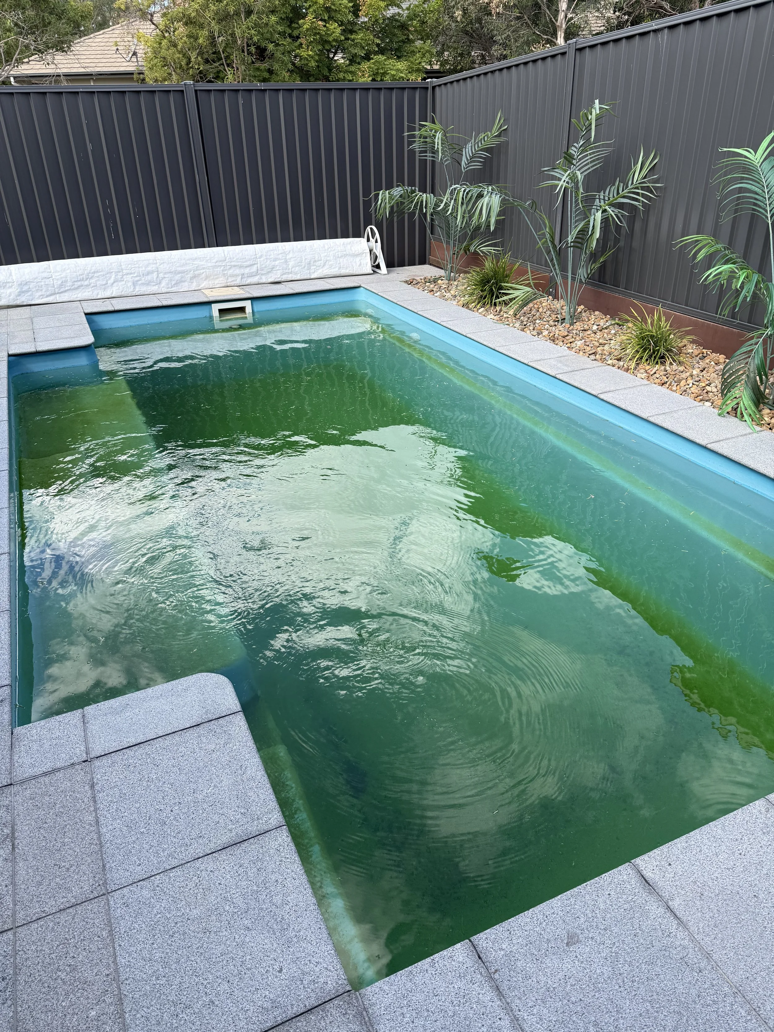 Pool clearing further as the filtration and chemistry take effect