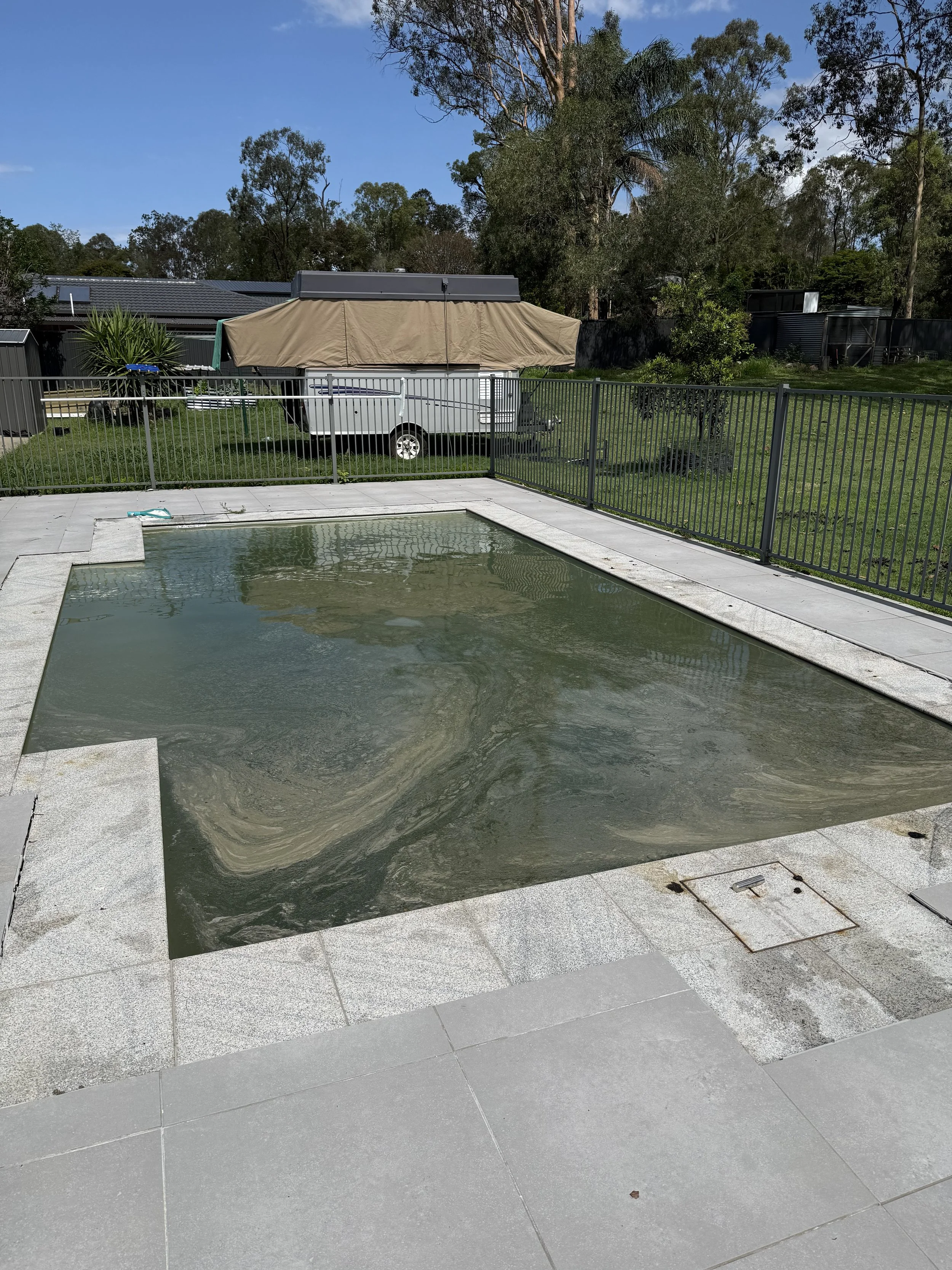 Green pool before treatment