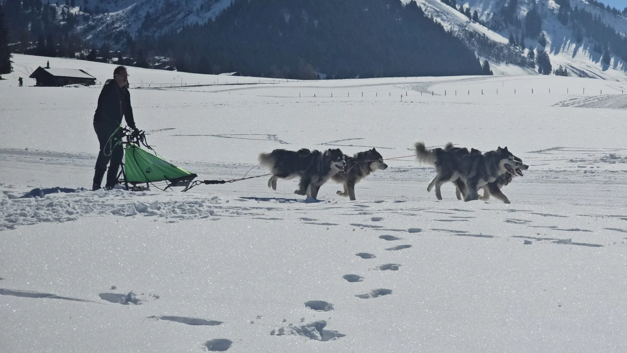 Course Col des Mosses 2025