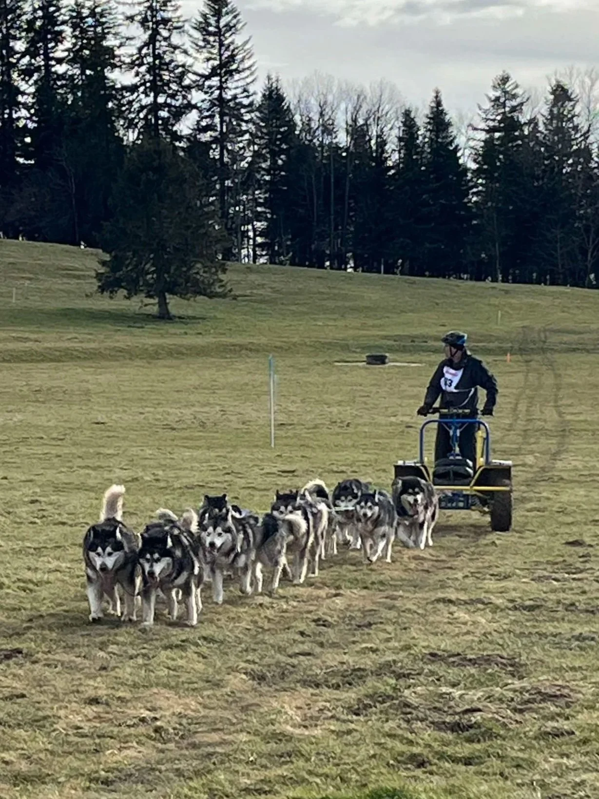 Rando-course Saignelégier 2025