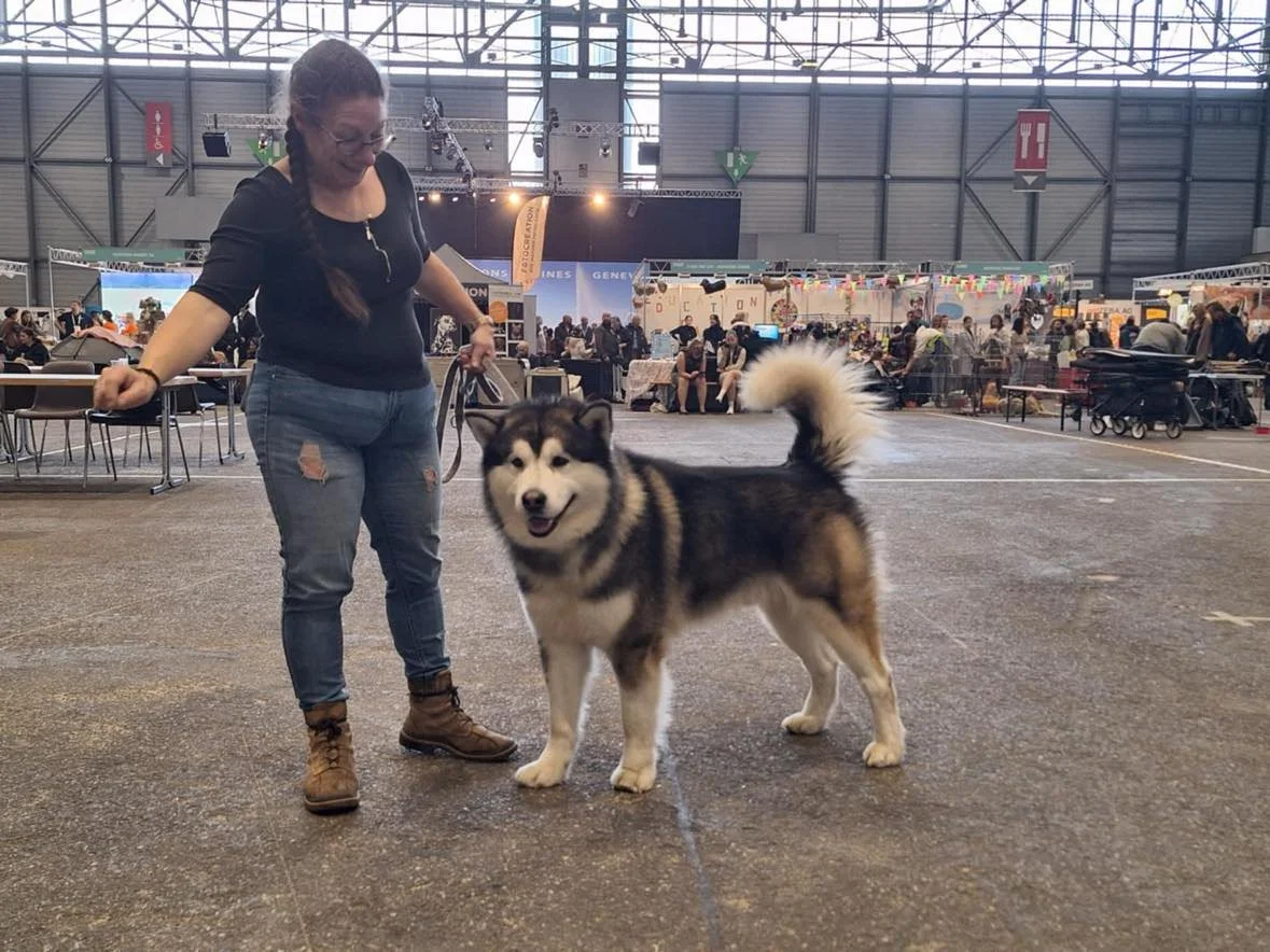 Tekoa Of Legends Inupiak