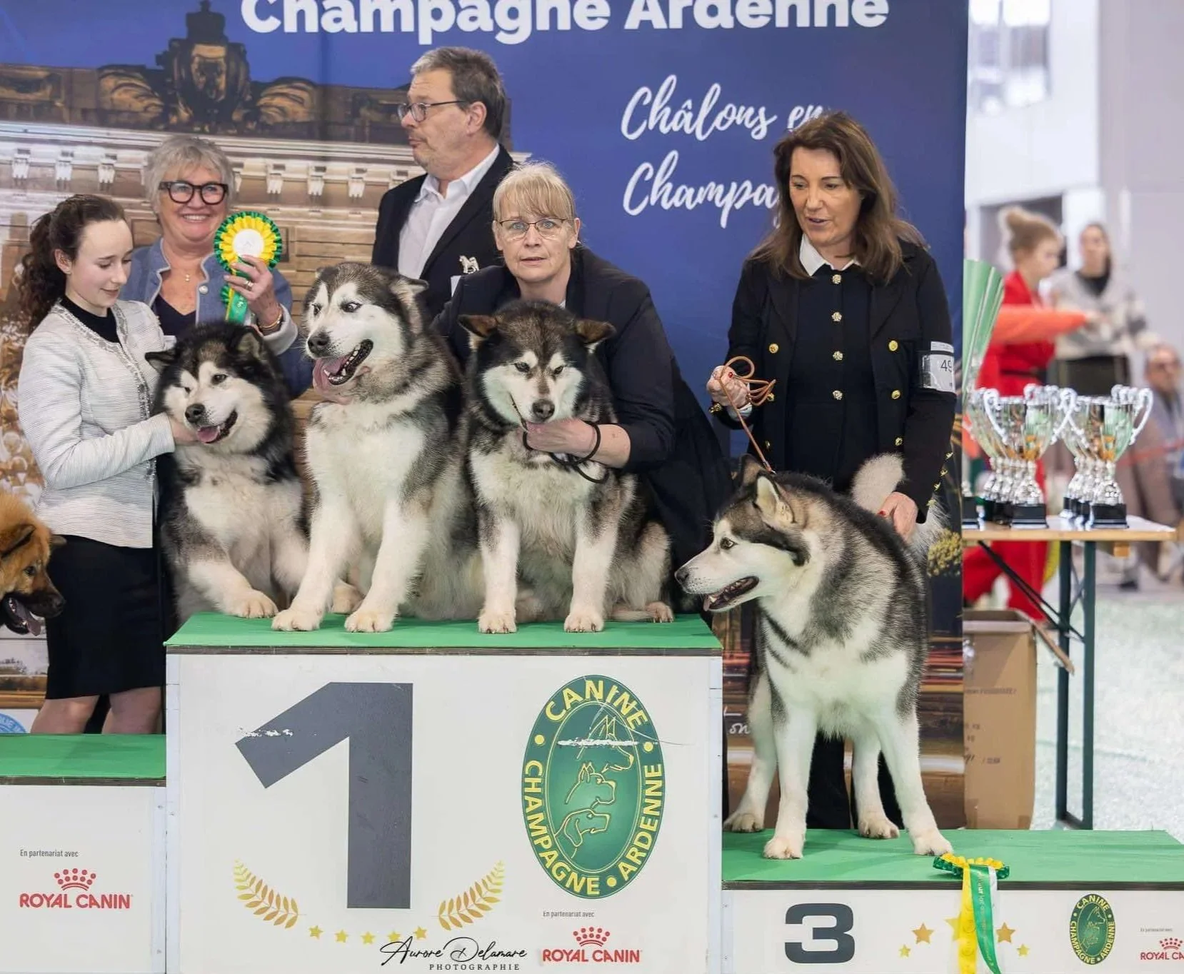 Photo de groupe - Lot Reproducteur - Châlons 2025