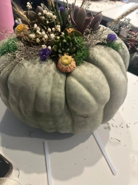 Pumpkin and succulent centerpiece