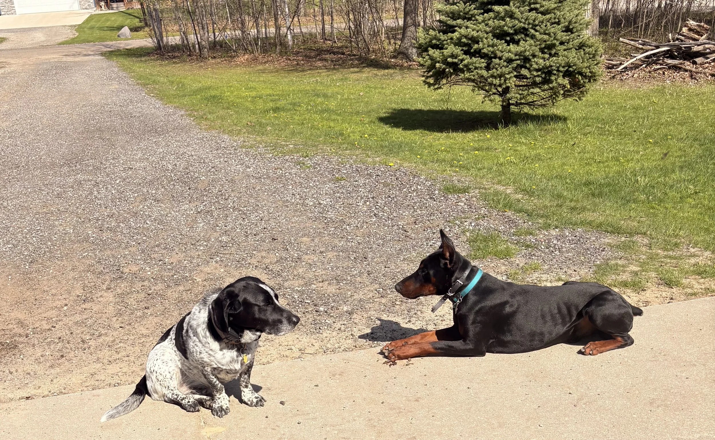Junior and Zeus Together