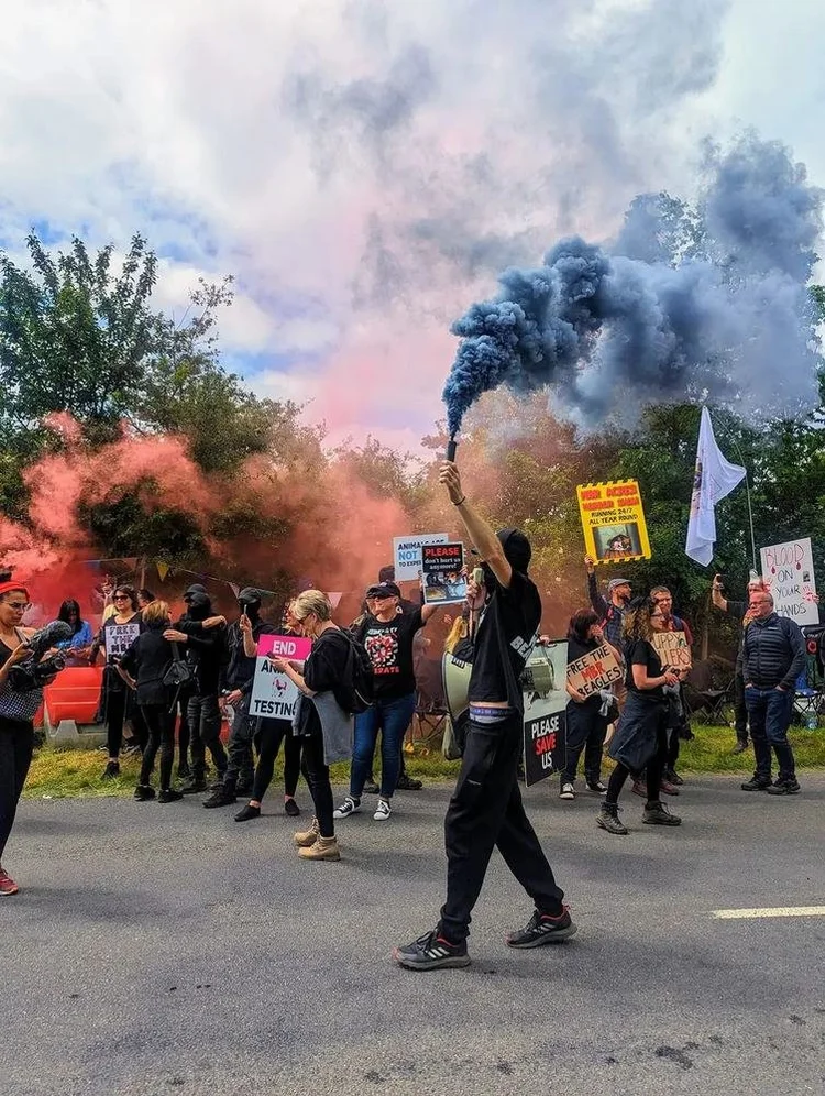 Activist holding a blue smoke flare in front of a crowd with signs reading Free the MBR beagles