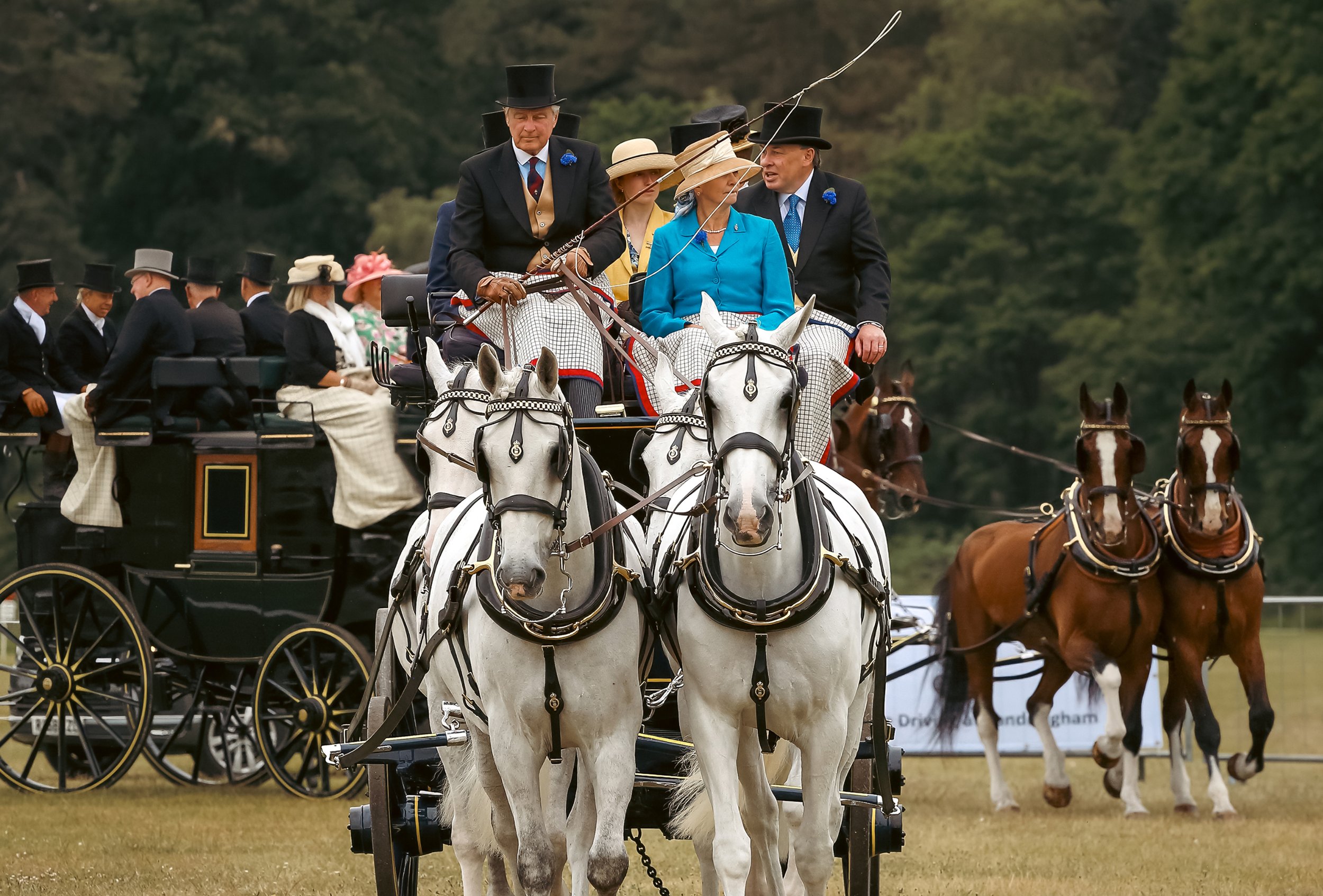 Horse Carriage