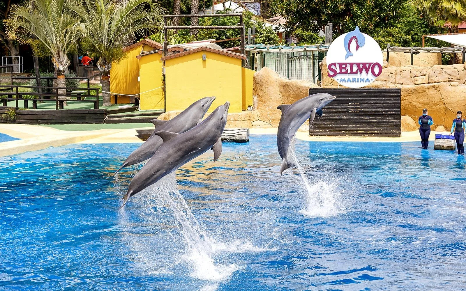 Selwo Marina, parco marino a Benalmádena