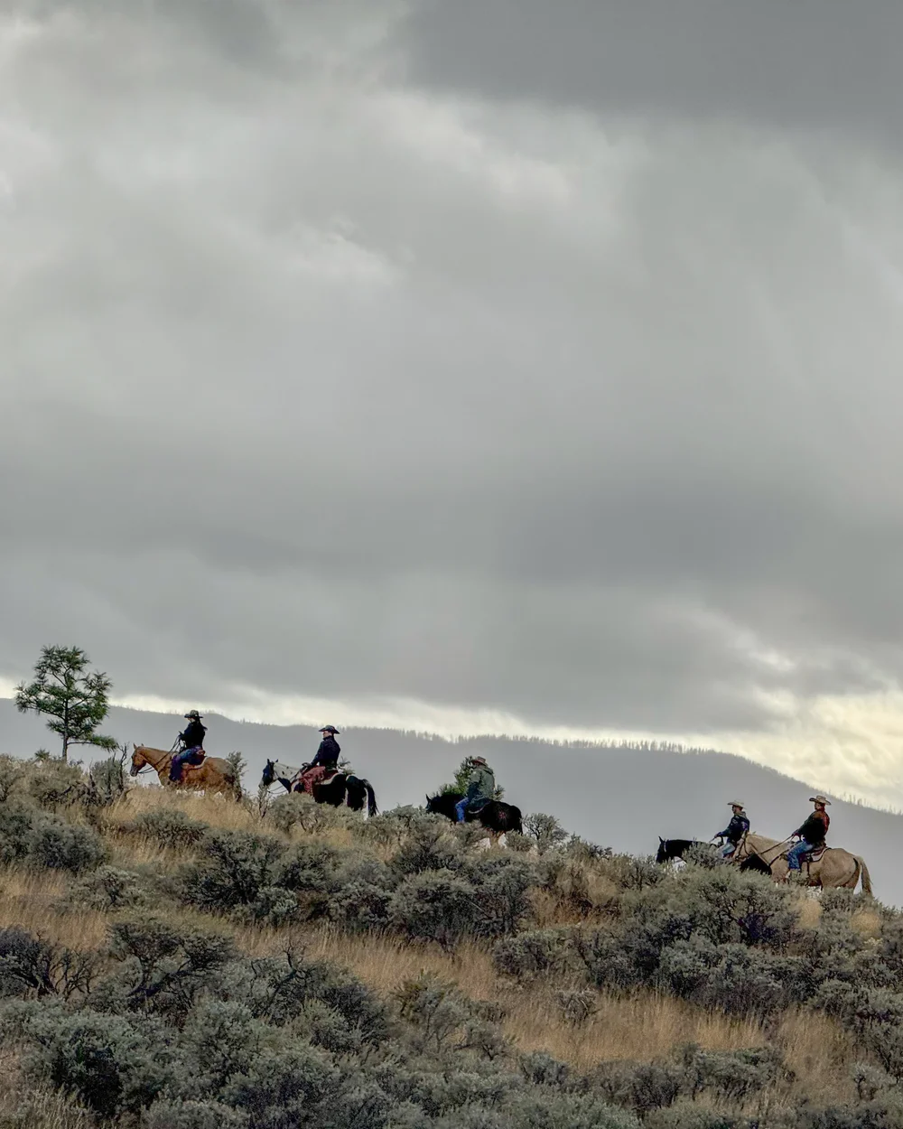 Ranch BC! trip