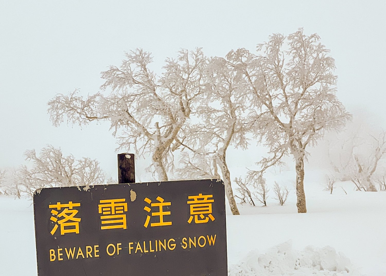 Skiing in Japan