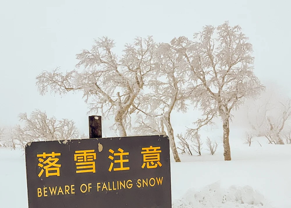Skiing in Japan