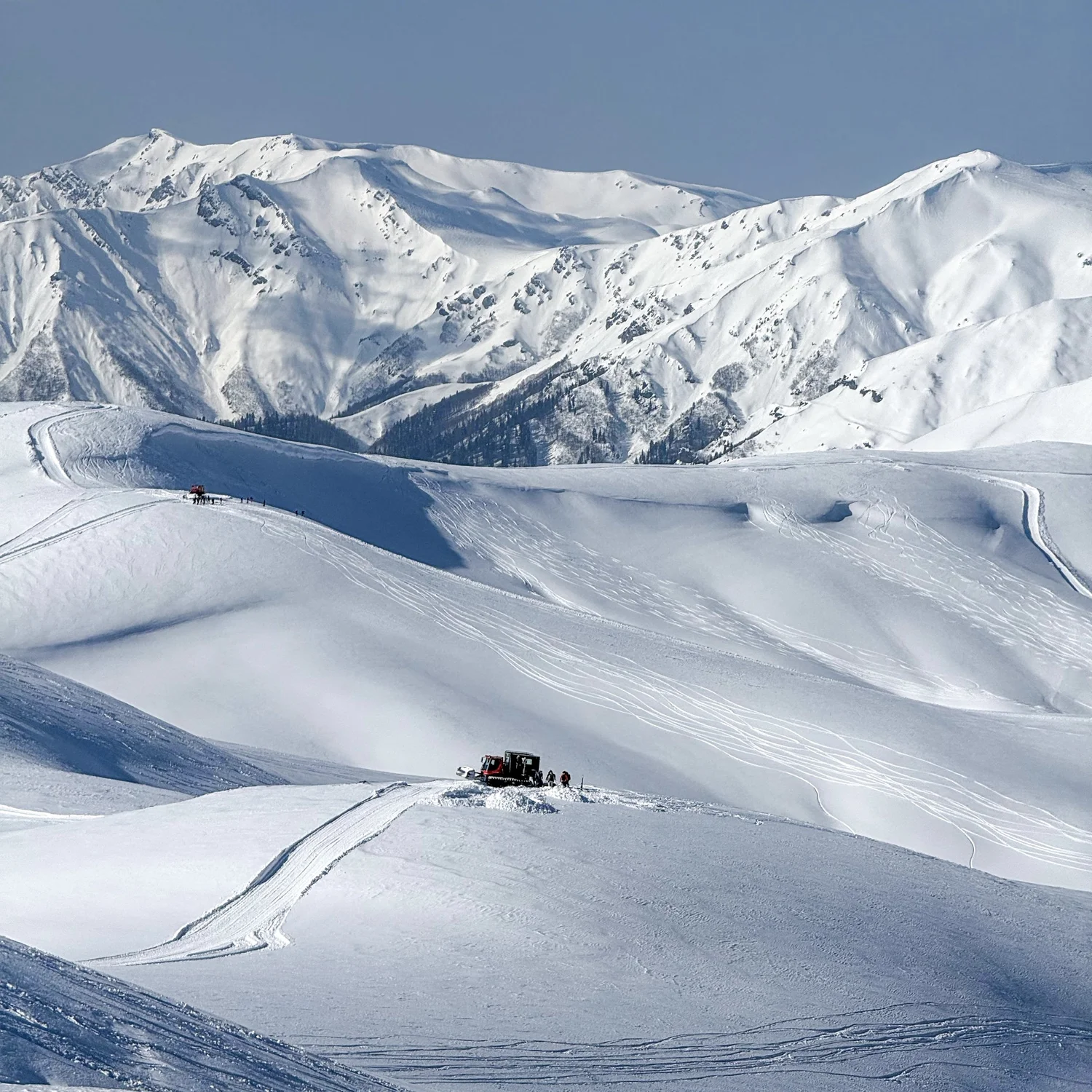 Skiing fresh powder
