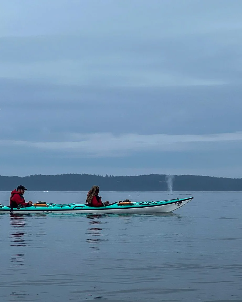 Kayak BC! trip