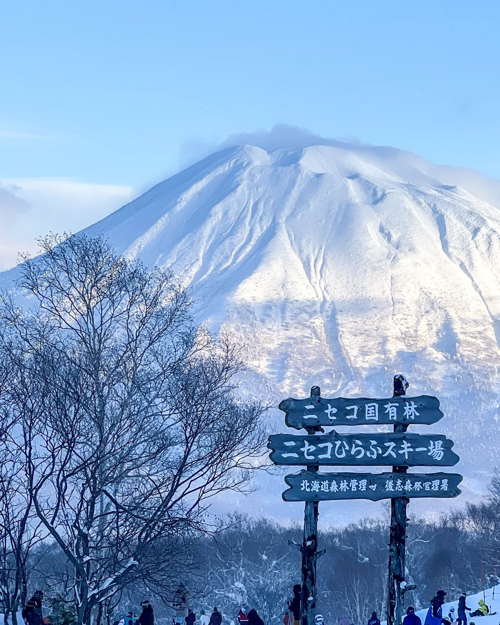 Ski Japan! trip
