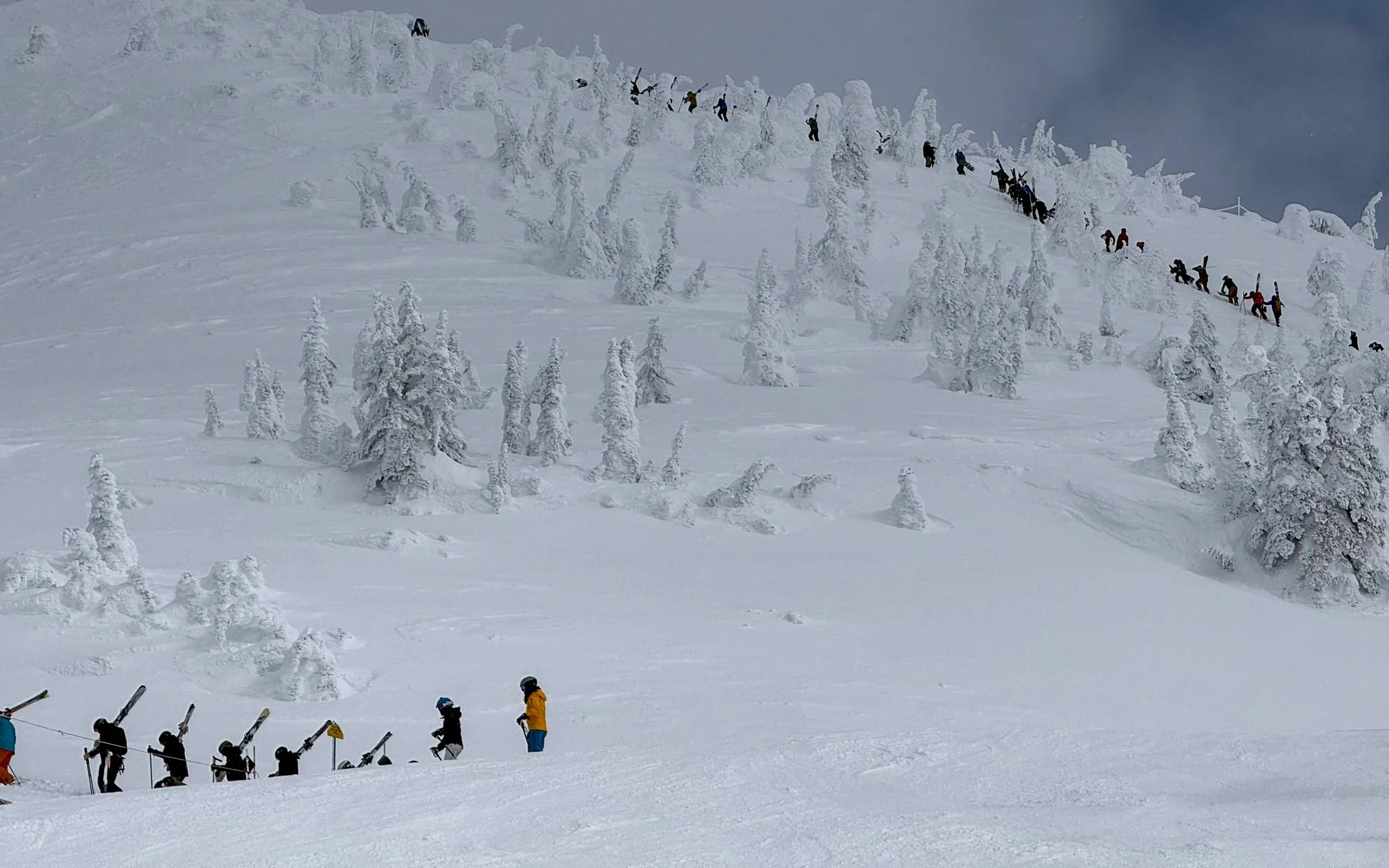 Seekrs skiers climbing through snow-covered trees
