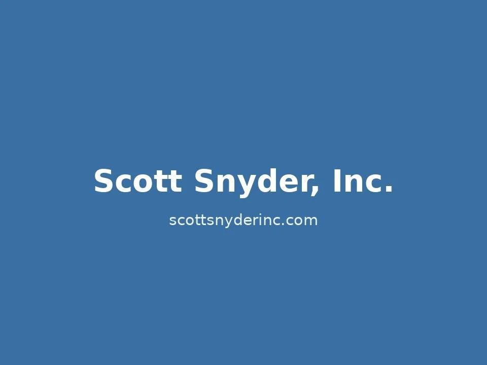 Scott Snyder, Inc. (homepage preview unavailable)
