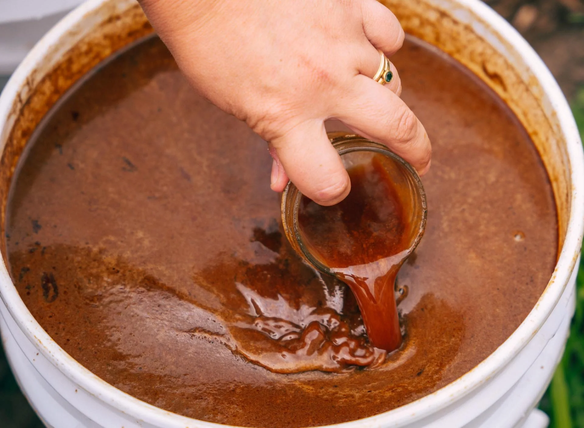 Sweet Fish Brew product detail