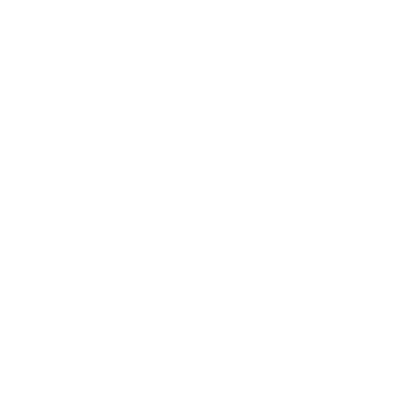 Chat icon