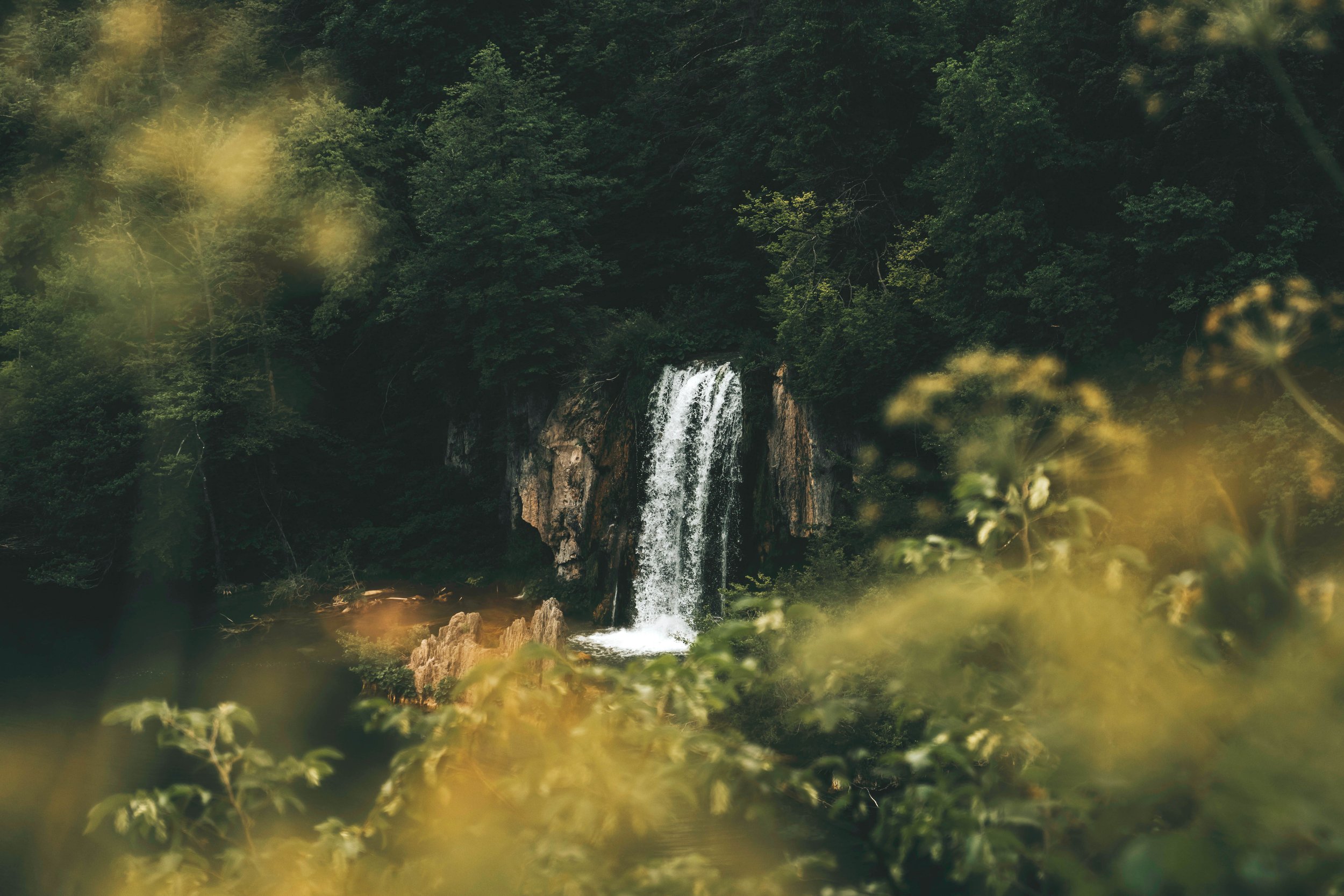 A Dash of Wanderlust