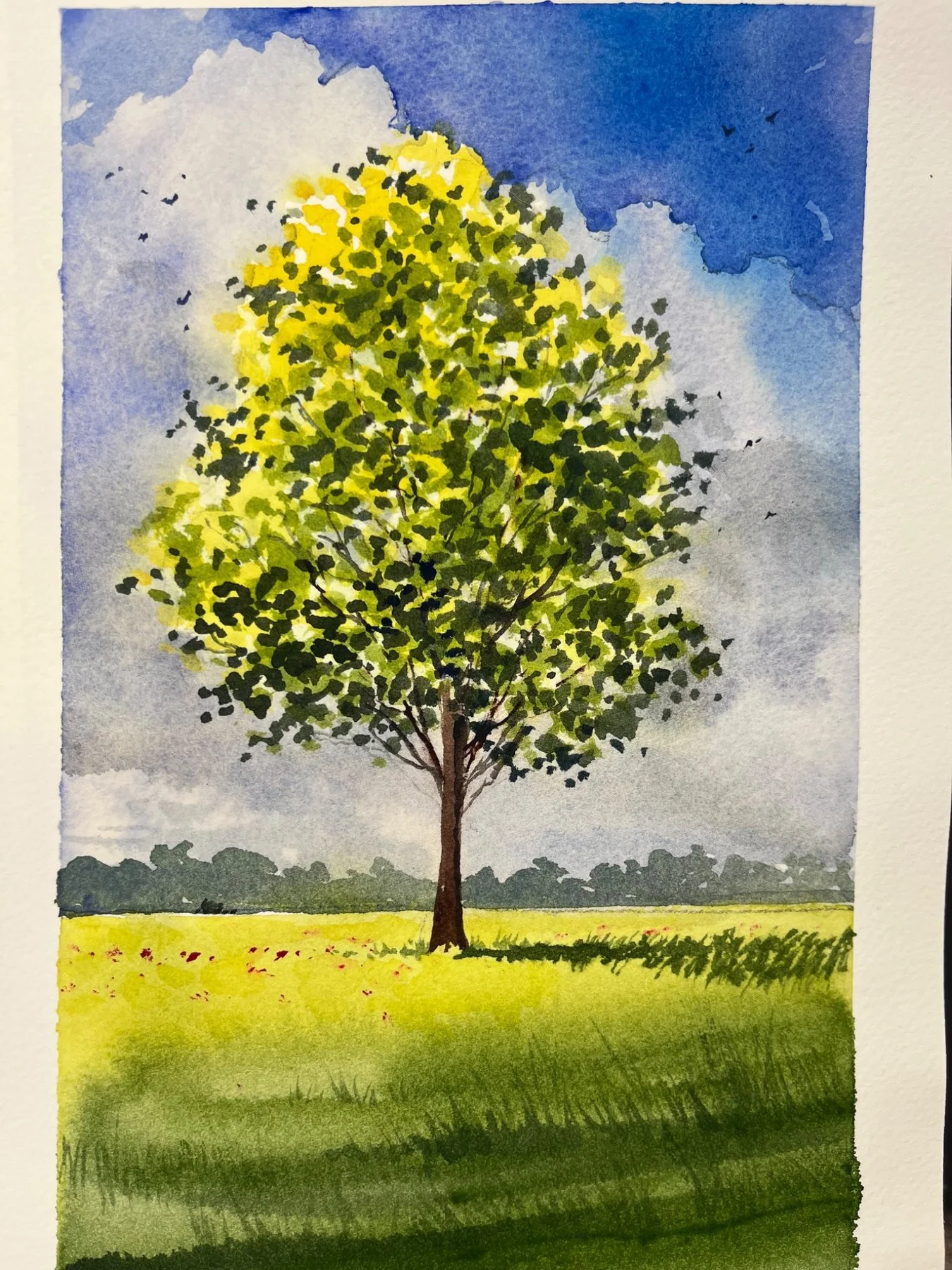 Albero in campagna dipinto ad acquerello durante il corso base CiaoArte