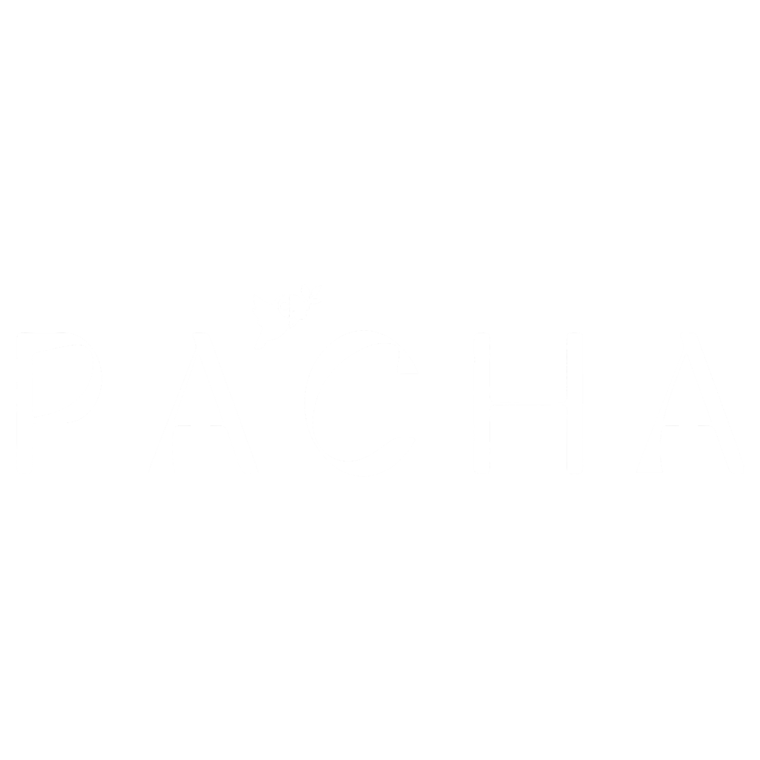 Pacha Collective