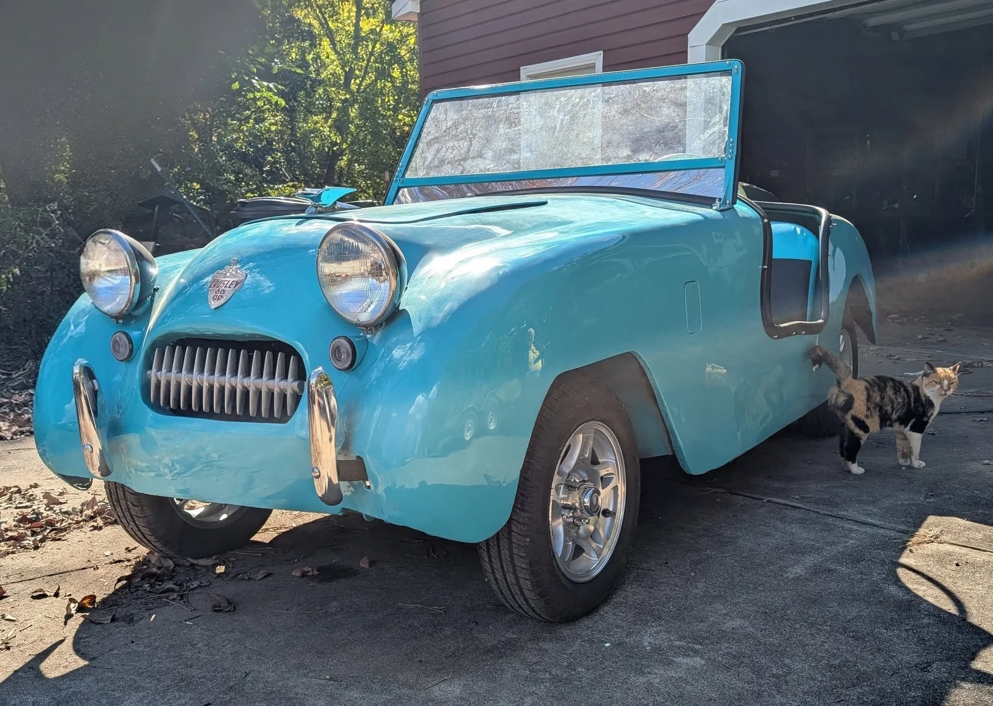 Bill's finished Crosley Hot Shot in the driveway, with Juanita's cat walking past