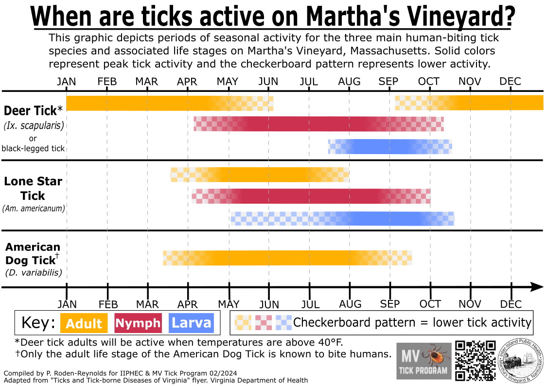 Chart showing when deer tick, lone star tick, and American dog tick are active on Martha's Vineyard by month and life stage