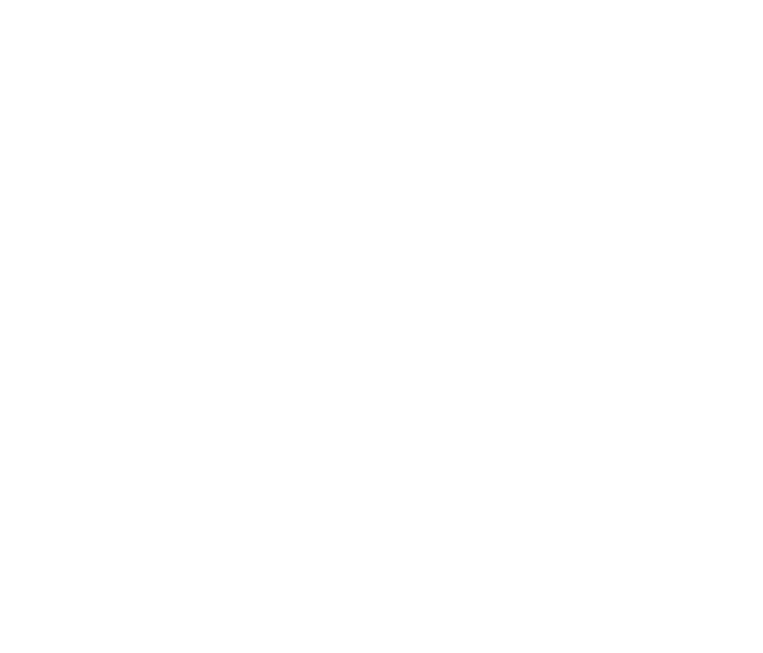 SHINE, A Program From Walk Intuit Inc.