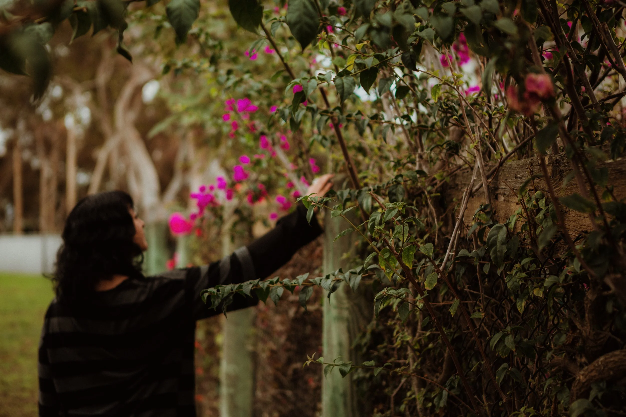 Somatic Psychotherapy