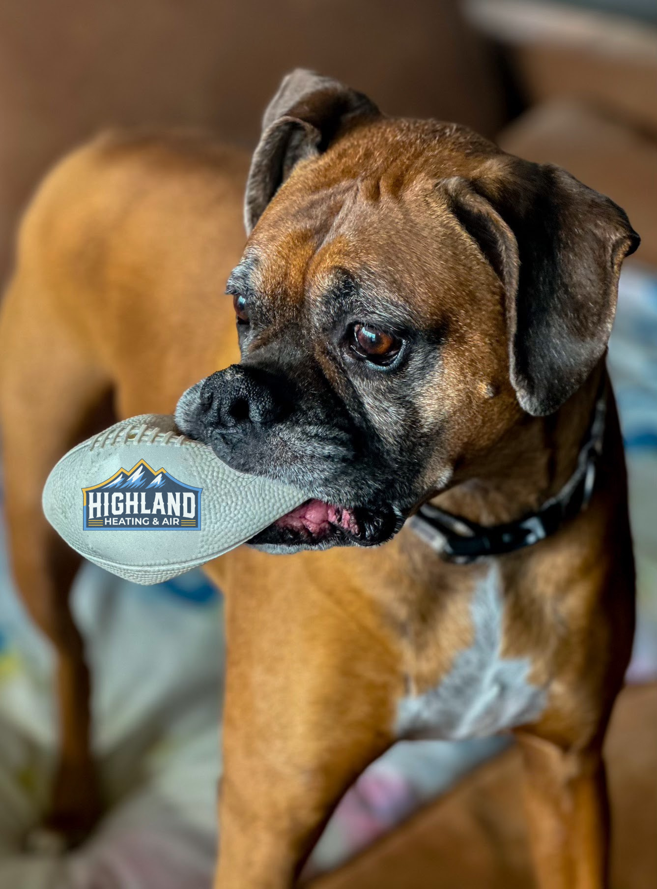 Highland Heating & Air
