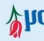 Holland American Food Co