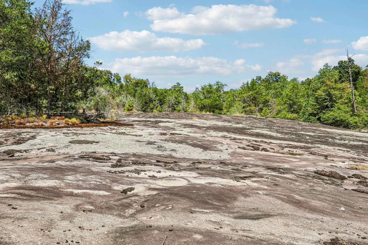 Granite outcroppings and seasonal yellow daisies