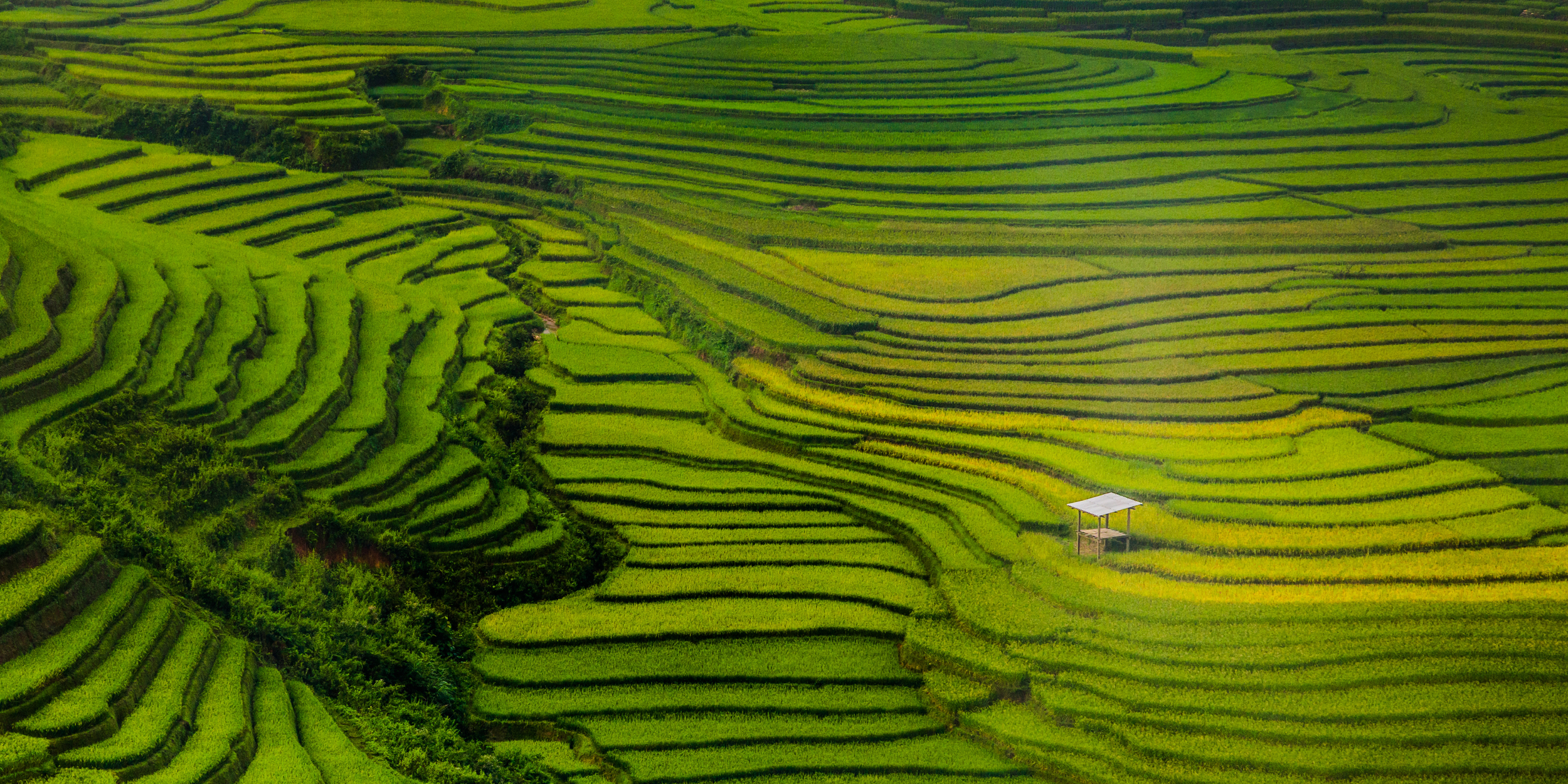 Asia Scenery