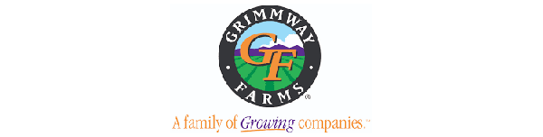 Logo Example 13