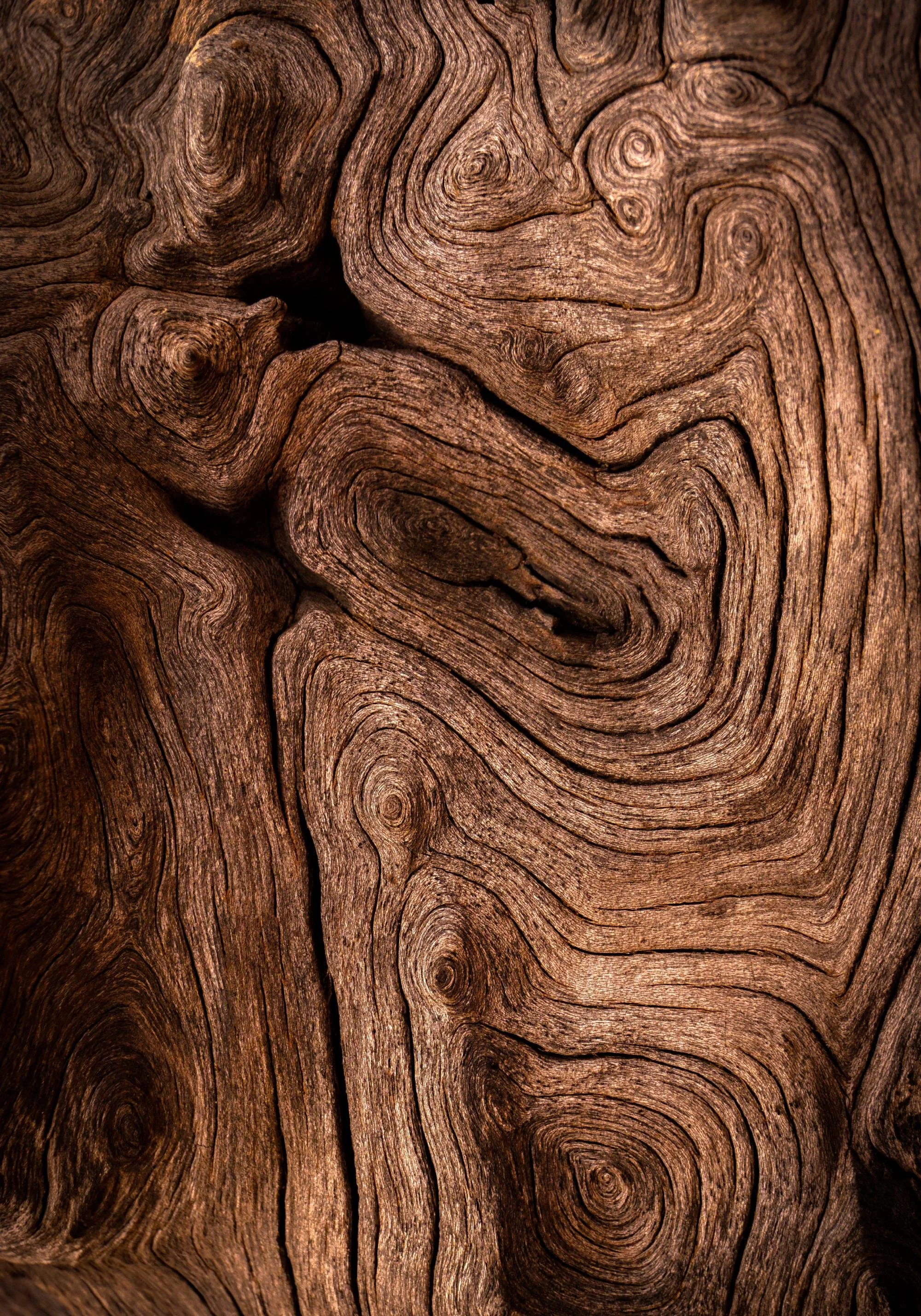 Madera certificada FSC®