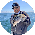 Review by Ray Iwamoto