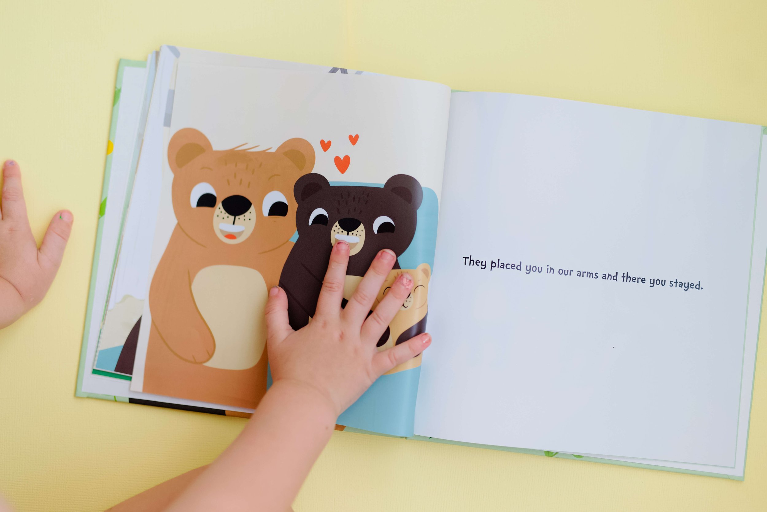 Magnificent Beginnings IVF Storybook