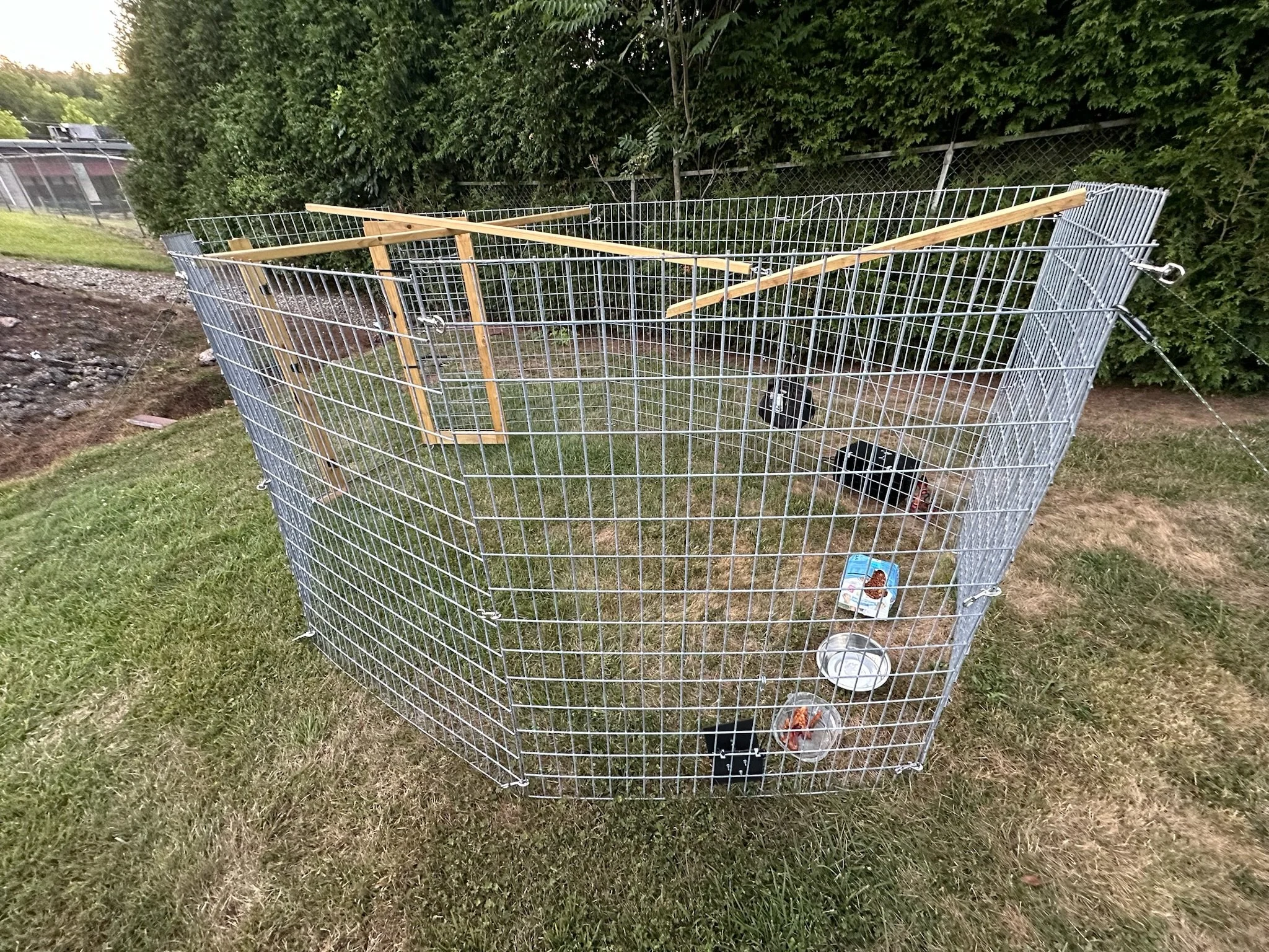 PSA Missy trap field deployment